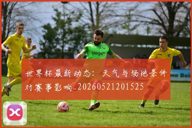 世界杯最新动态：天气与场地条件对赛事影响_20260521201525