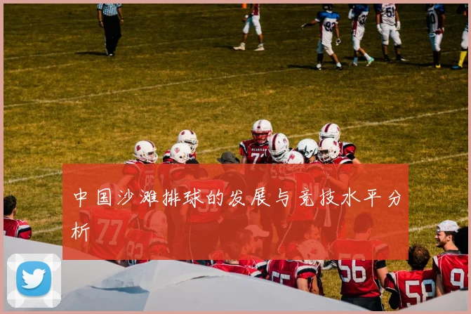 中国沙滩排球的发展与竞技水平分析
