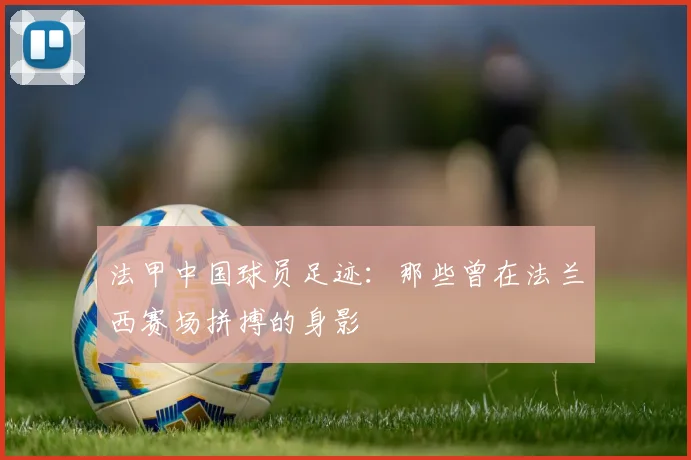 法甲中国球员足迹:那些曾在法兰西赛场拼搏的身影